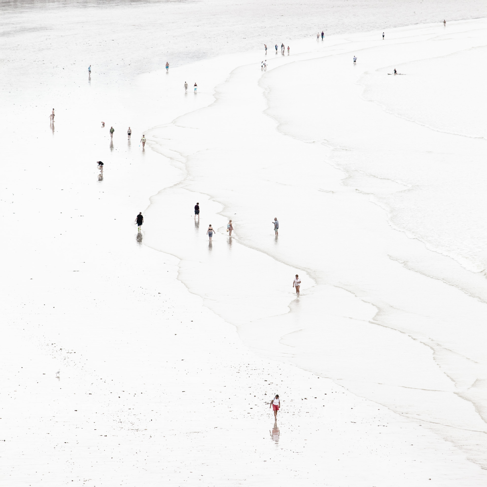 L'etale ( 2011 ) Edition : 40x40cm (ed°/8) & 60 x60cm (ed°/8)