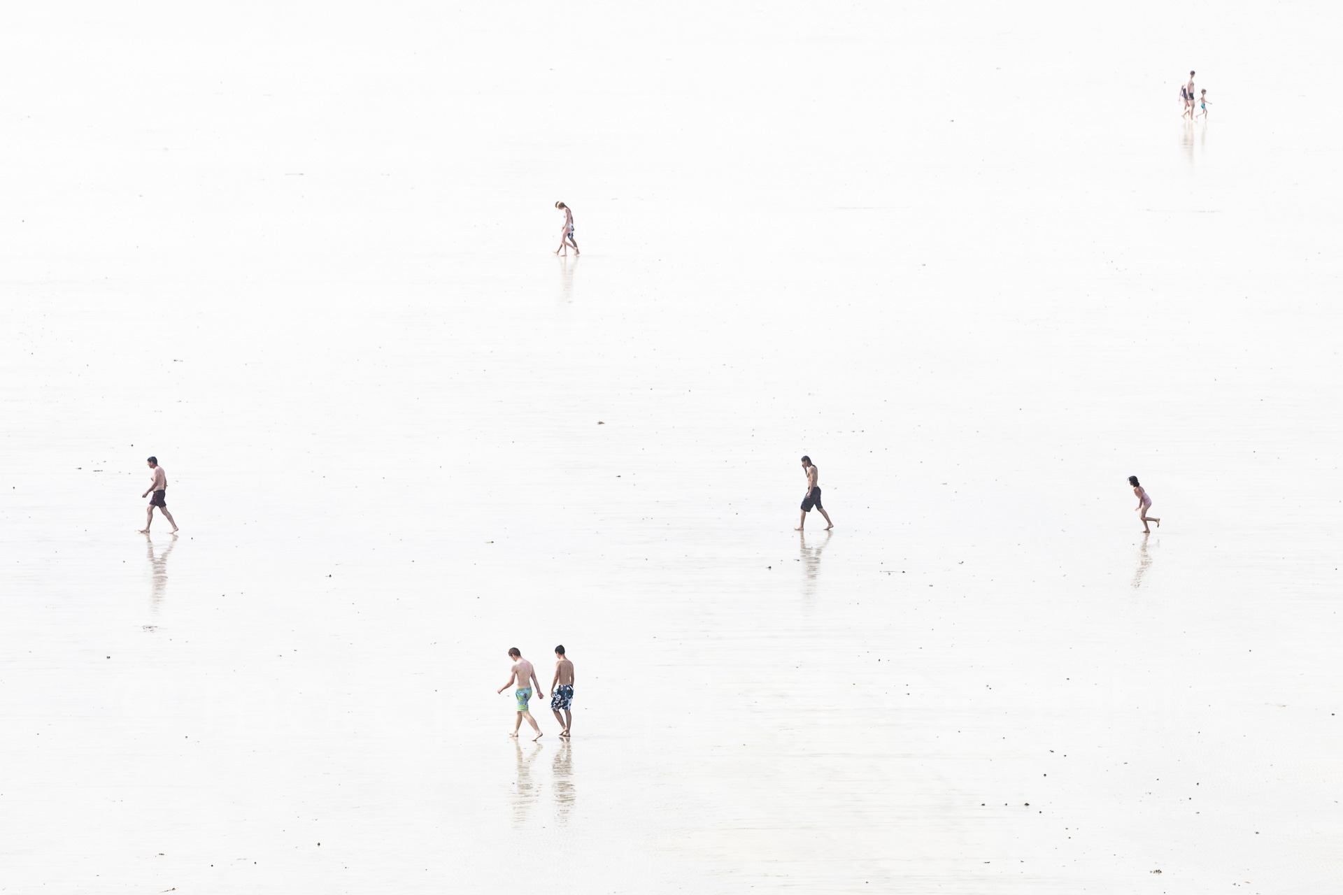 La marche ( 2013 ) Edition : 37x56cm (ed°/8) 