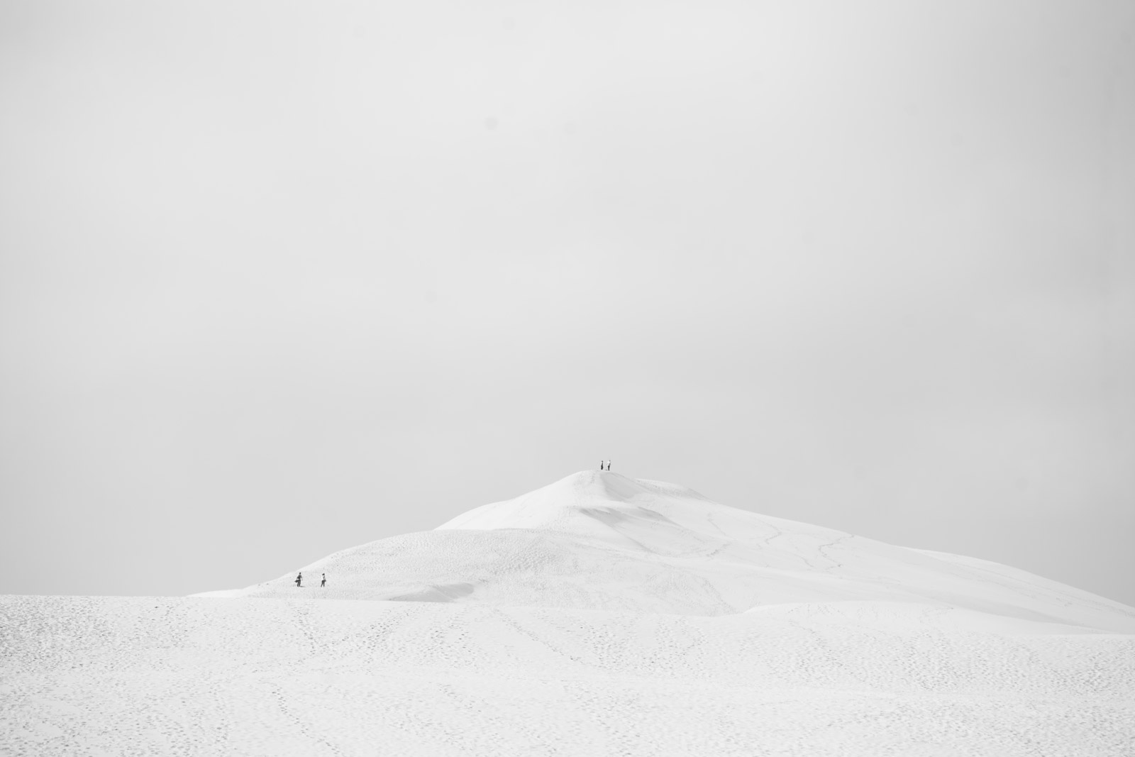 Print : Pigment Edition : Signed and numbered | edition of 8 copies in 40x60cm Rep : Galerie Wallpepper