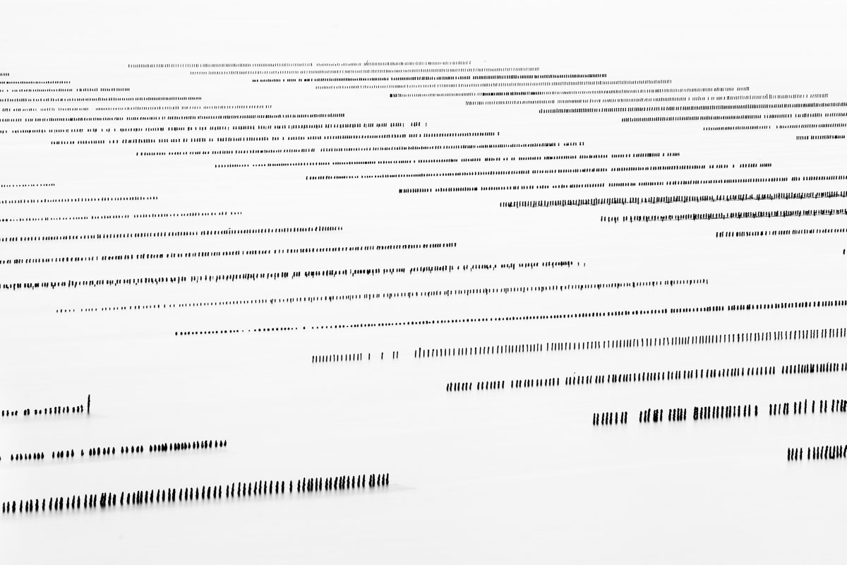 Sequence #9 ( 2014 ) Edition : 37x56cm (ed°/8) & 60 x90cm (ed°/8)