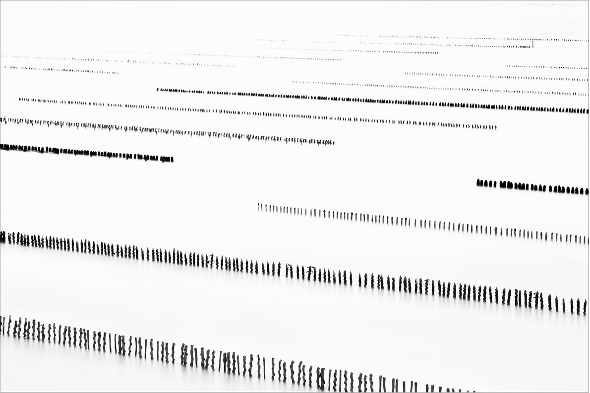 Sequence #17 ( 2015 ) Edition : 37x56cm (ed°/8) & 60 x90cm (ed°/8)