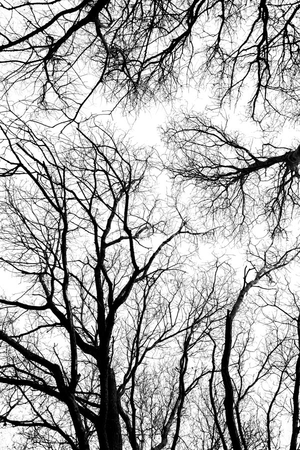 photo-art-abstraite.jpeg