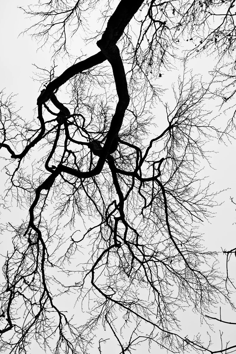 photo-art-conceptuelle.jpg