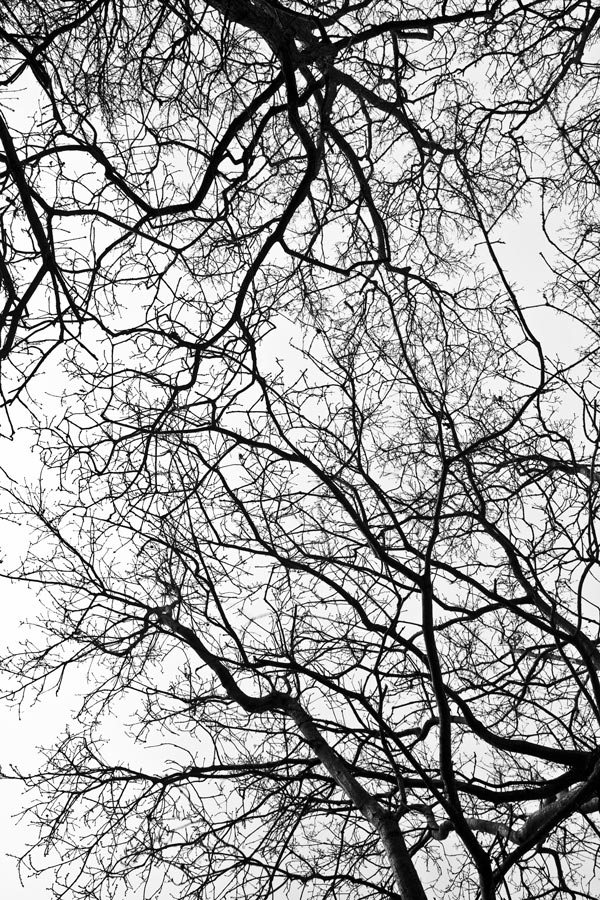 photo-art-galerie.jpeg