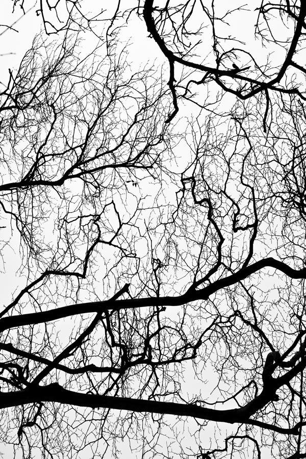 photo-art-noir-et-blanc.jpeg