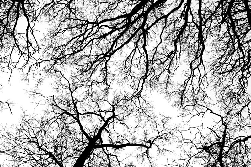 photo-art-concept.jpeg