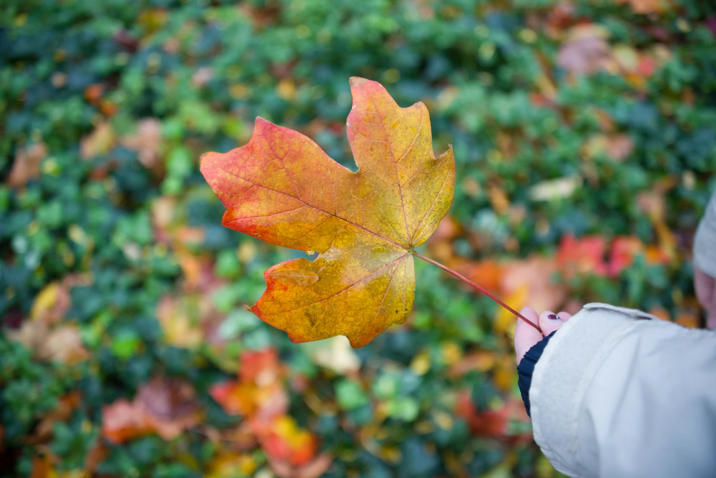 20121029_224831.jpg