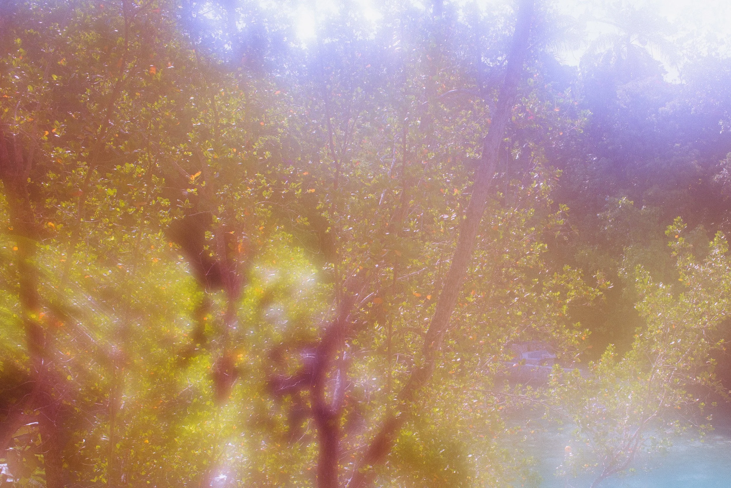 20140920_093749.jpg