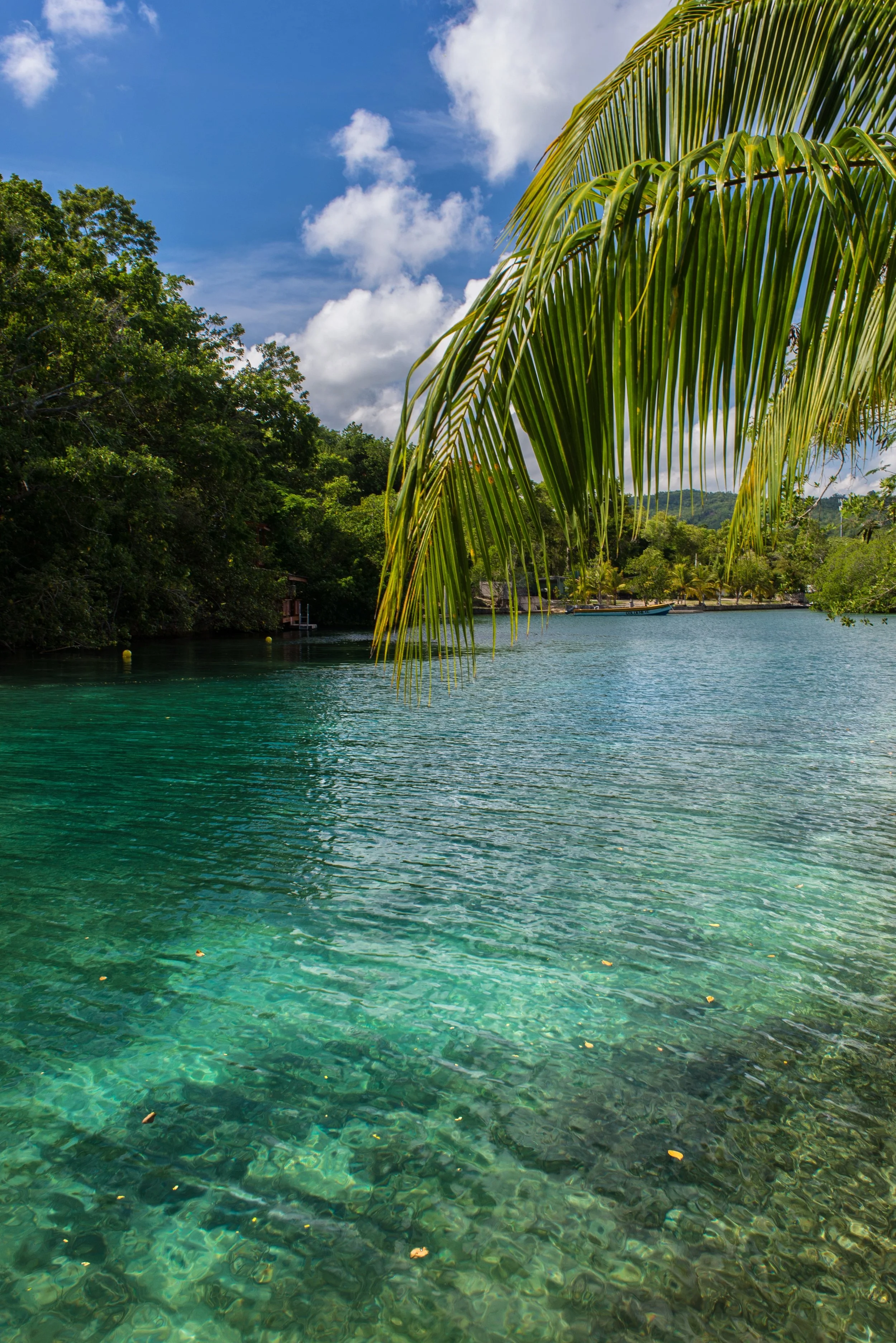 20140920_102443-2.jpg
