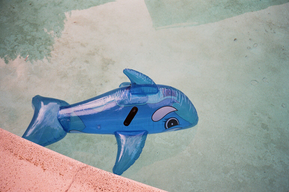   "Whale in Pool" by Gia Coppola  