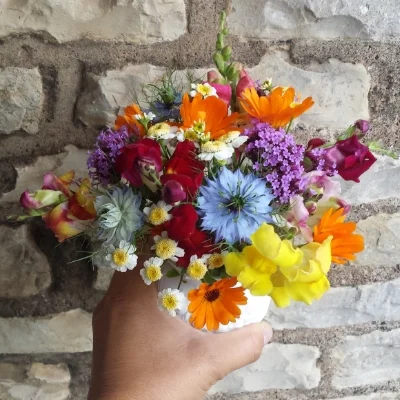A pretty posy made with these easy to grow flowers!