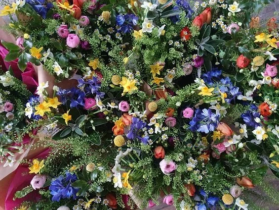 5th Feb 2021 (3).jpg