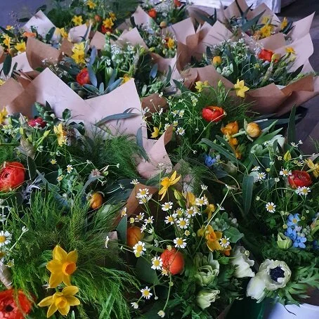 22nd Jan 2021 (2)resized.jpg