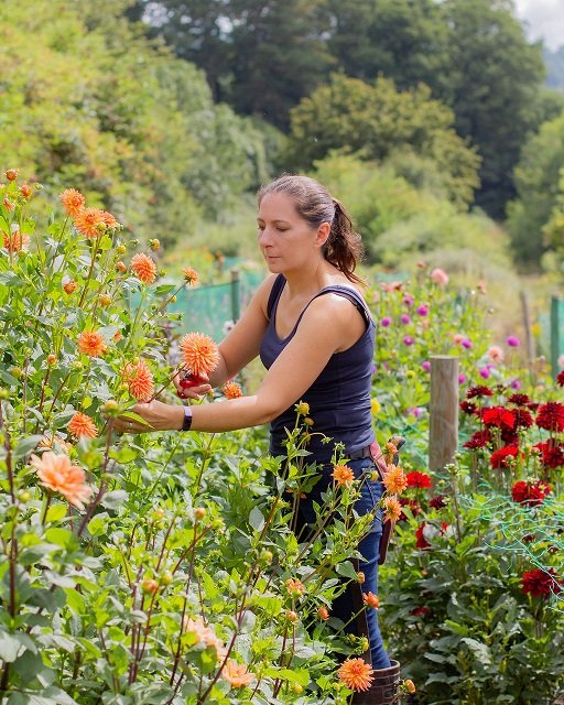 _MG_9426 resized.jpg