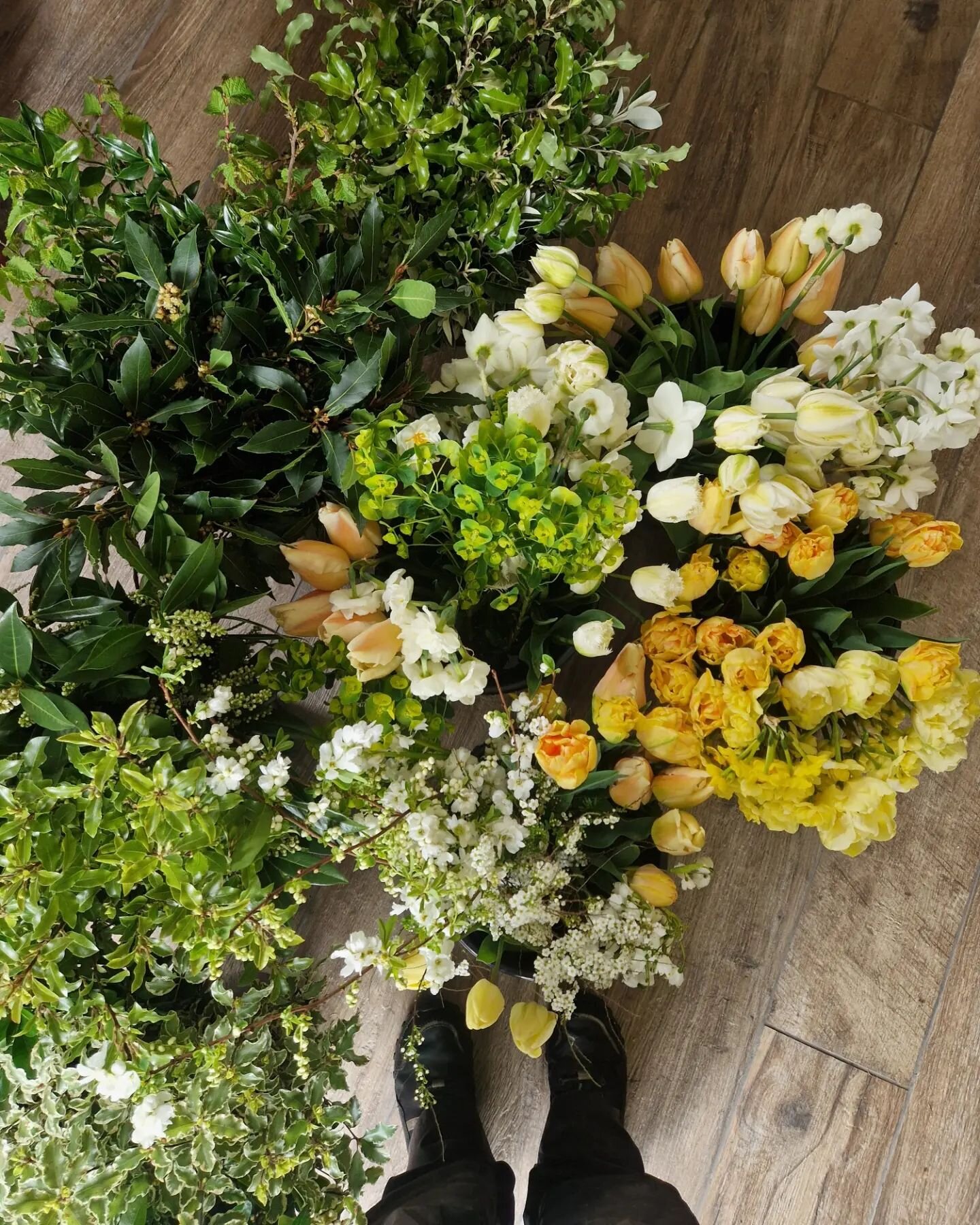 One of today's orders cut for a DIY wedding. A beautiful mix of whites, yellows, and greens....check out that double tulip - a great spring substitute for any peony lovers 🥰

#springflowers #spring #flowerfarm #flowersfordays #fromwhereistand #mysim