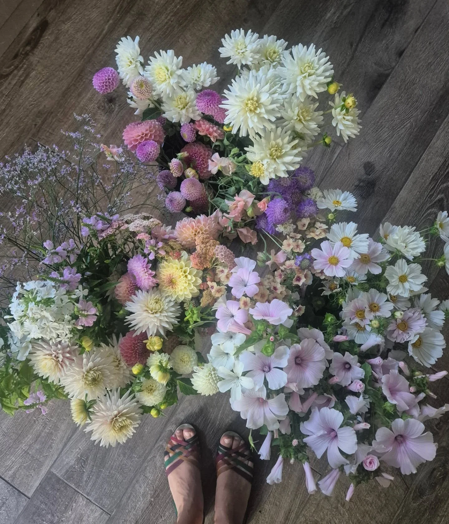 The dreamiest colour palette for one of my wholesale customers this morning 🩷🩵🤍

#britishflowers #bristolflorist #bathflorist #fromwhereistand #myfloraldays #flowersoftheday #flowerstyle #underthefloralspell #pastelaesthetic #pastelflowers #flower