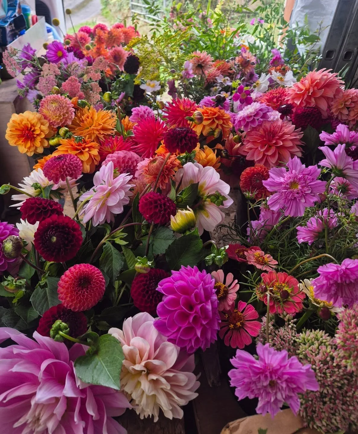 Vibrant sunset tones for a customer this week. Something to cheer you up on this rainy day.

#sunsetvibes #flowersfordays #pipleyflowers #bristolflorist #bathflorist #flowerstobrightenyourday #flowersfromthefarm #instabristol #britishflowers #grownin