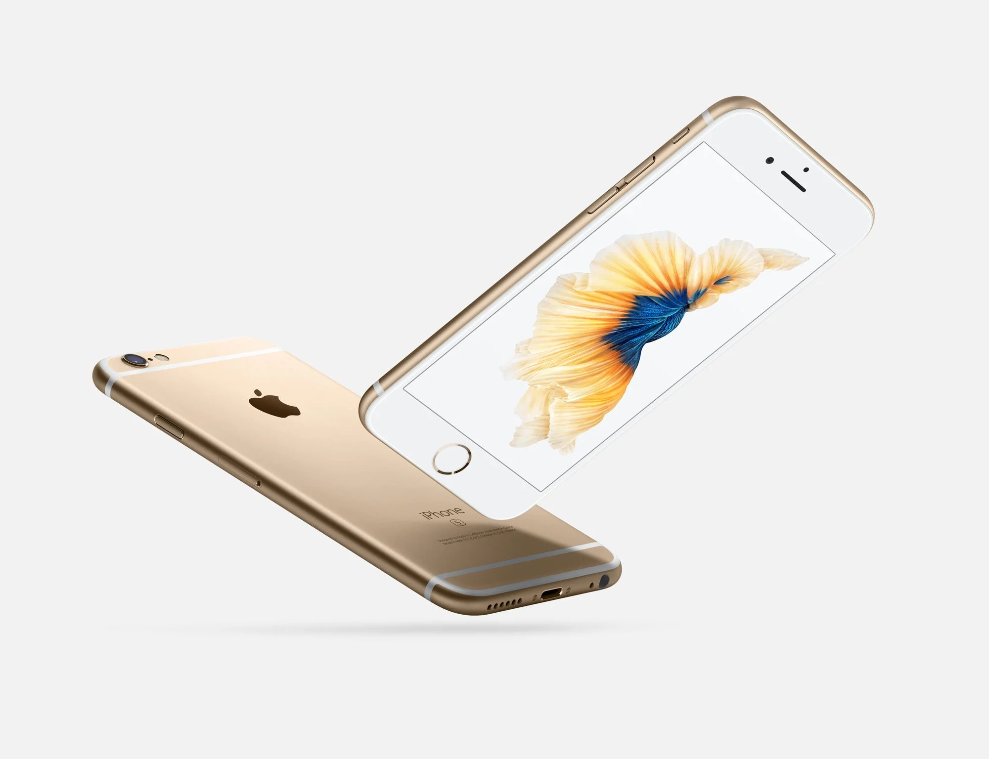 iphone6s-gallery3-2015.jpeg