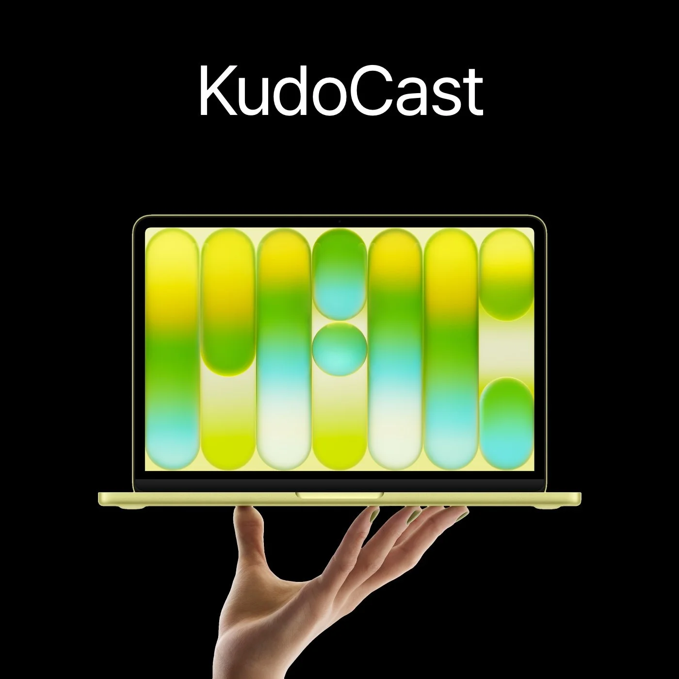 244: 가격이 싸도 용서가 안 됐을 거 같아