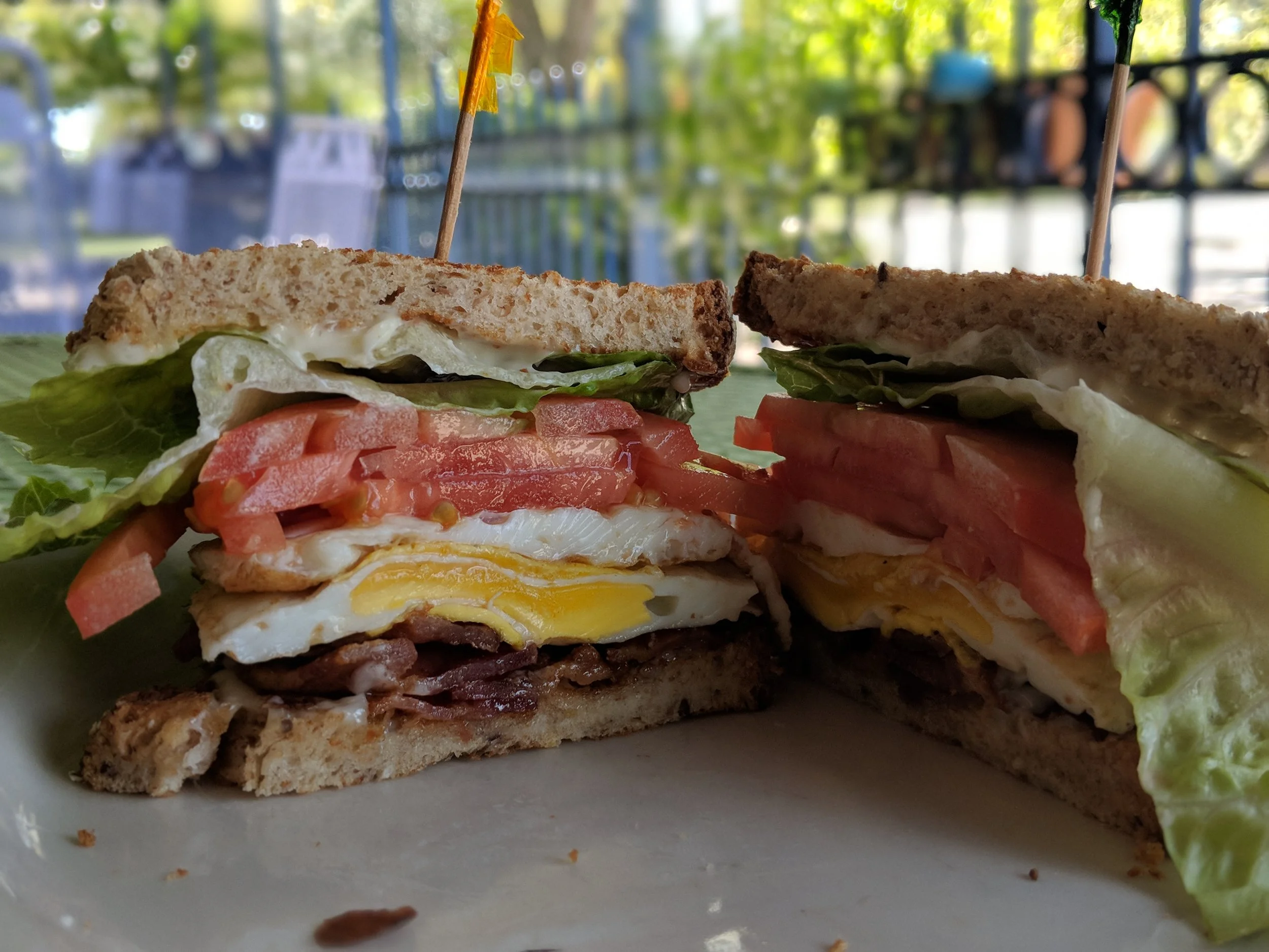 Beach Bum Bagel of Vero Beach Presents: The Mitch BLTE