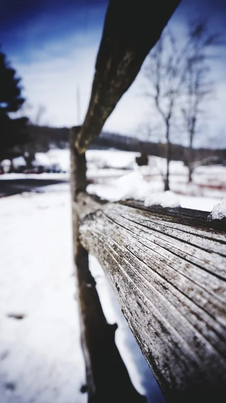 photo by HeadaDT