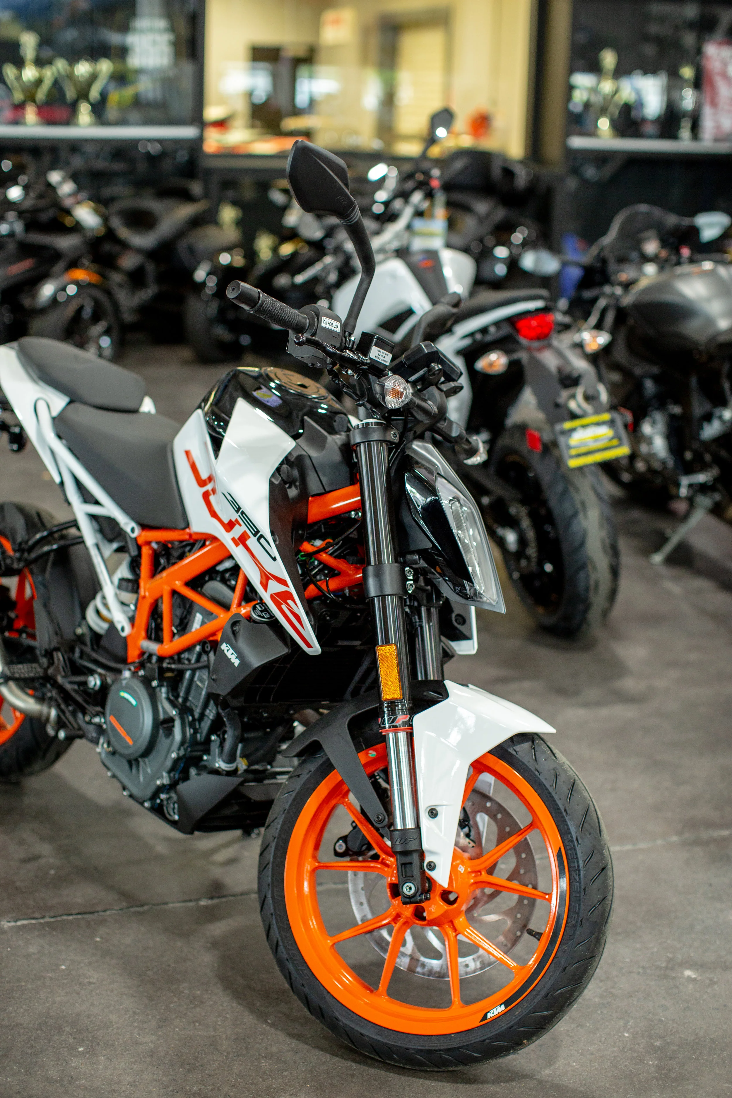 2018KTMDuke390_First Ride-4.jpg