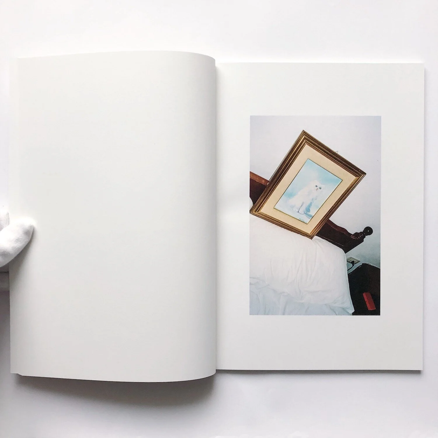 25D9CBE8-5AE7-47A7-9EA2-F33FFA444A59 copy.JPG