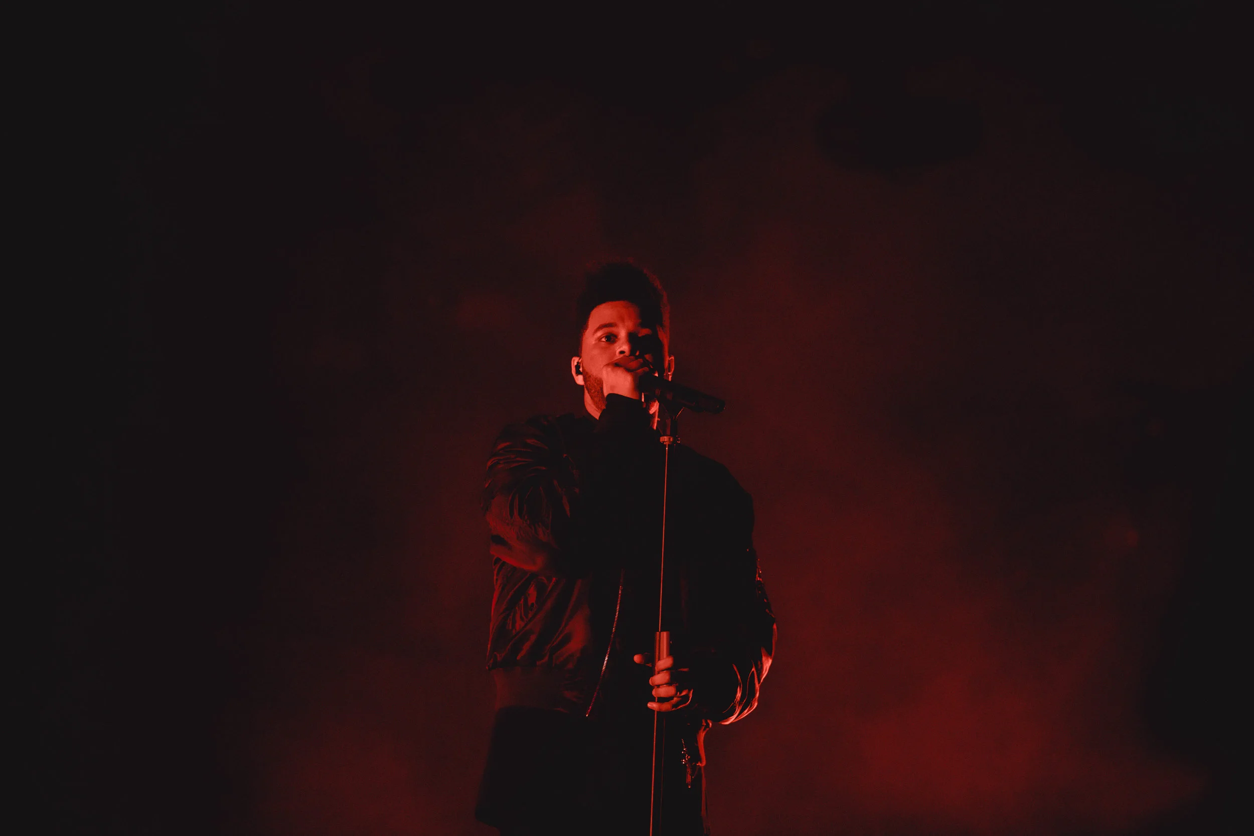 RB RF17 Weeknd Live-6.jpg