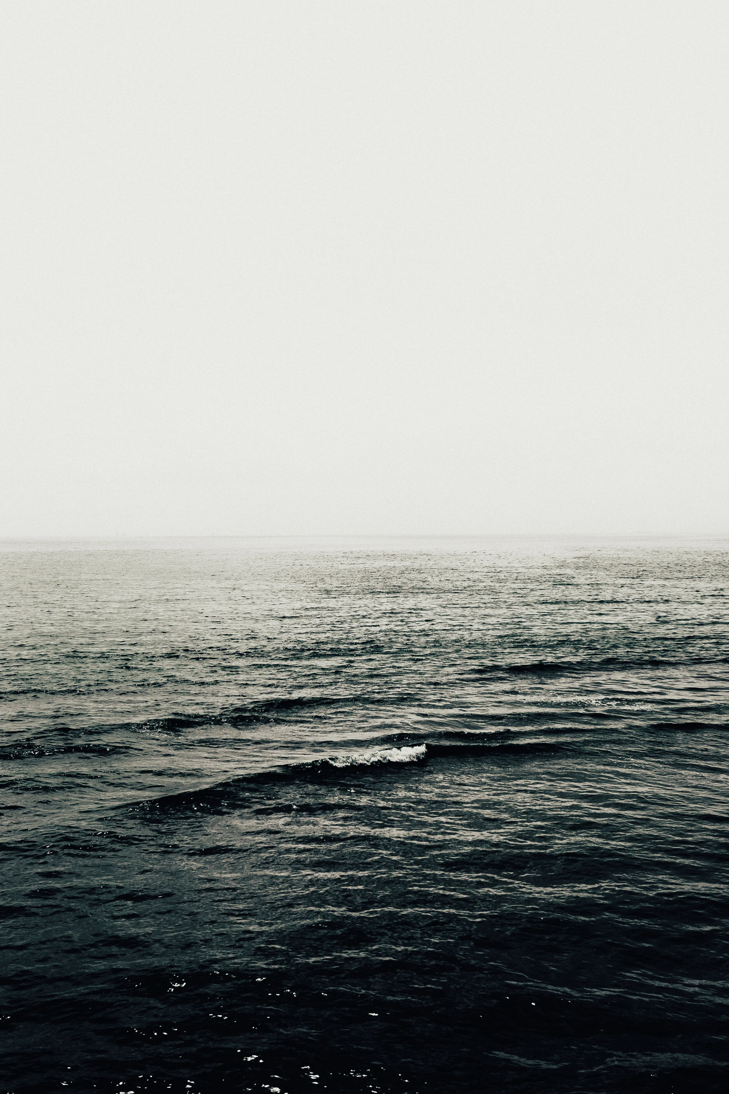 CA Ocean • No.2