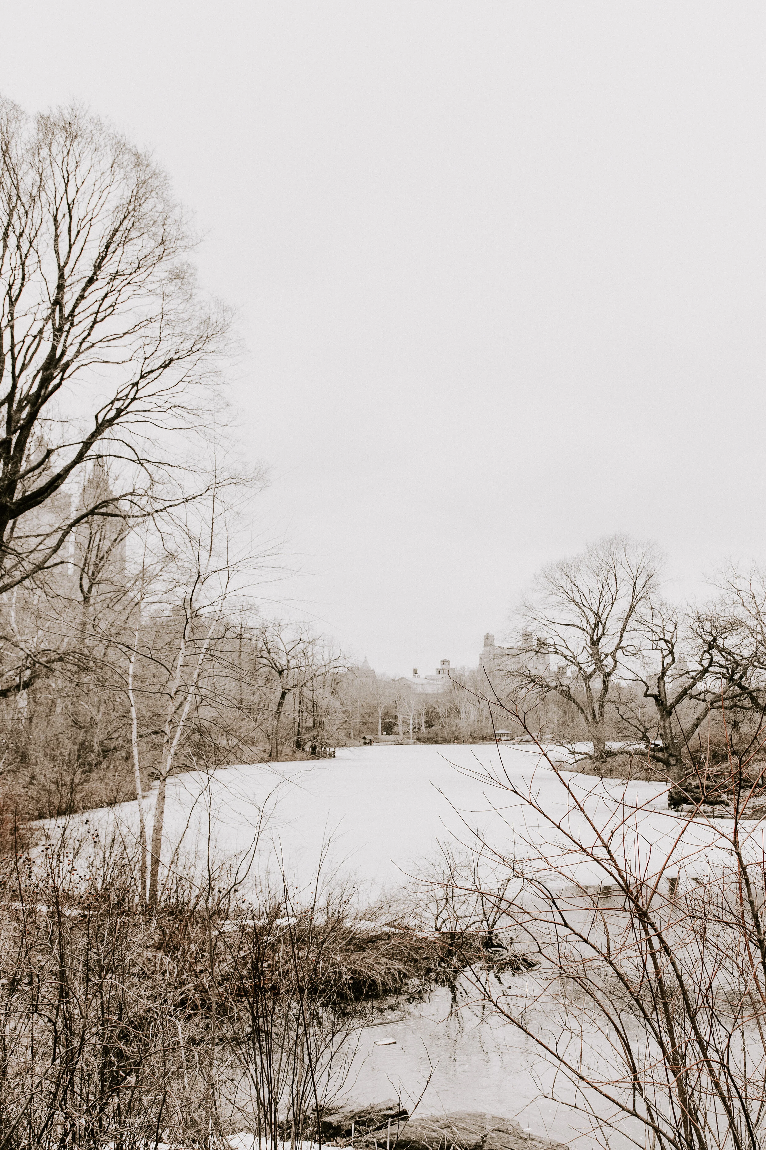 Central Park • No.4 