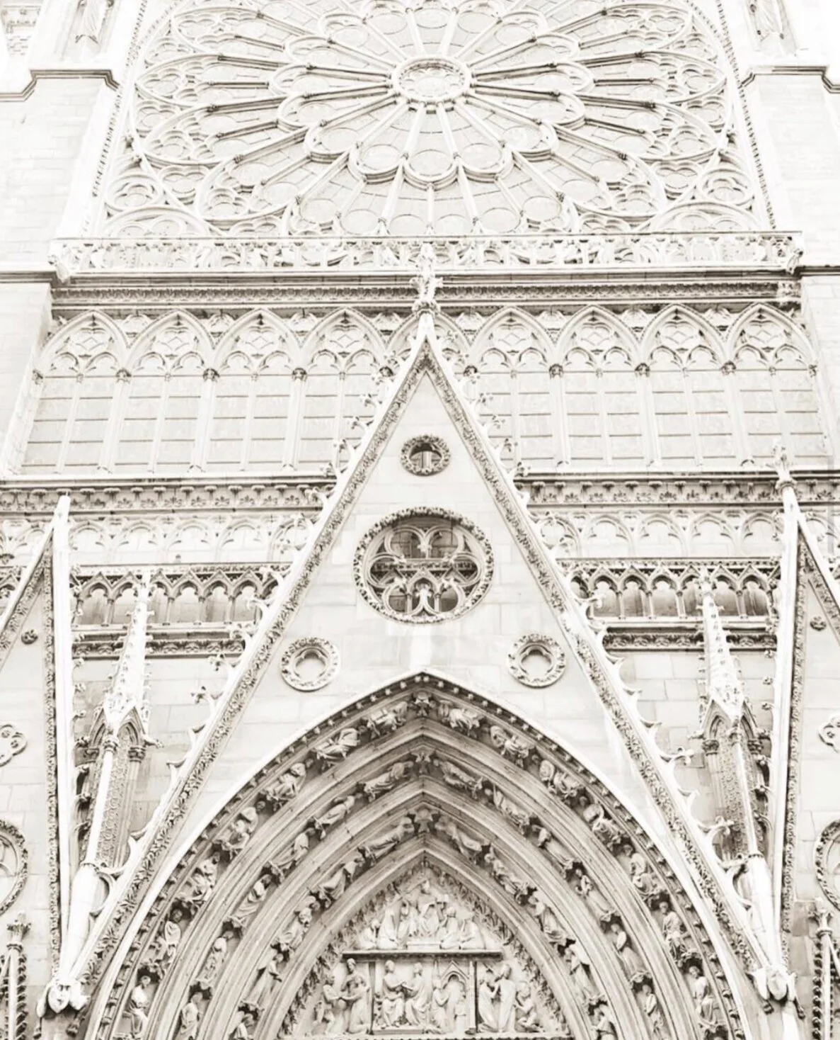 Notre Dame • No.16 