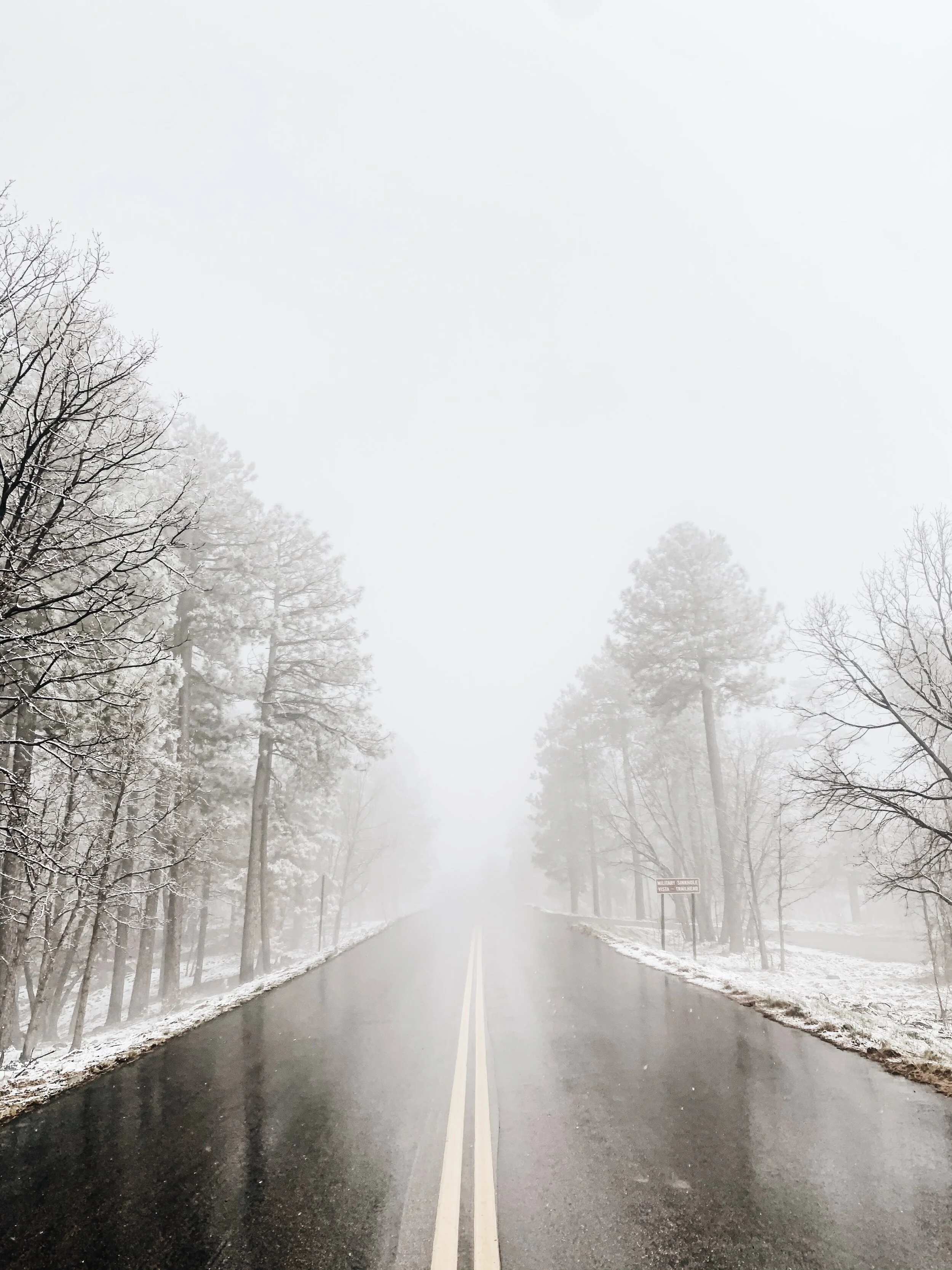 CD5A98BF-7B67-4520-85BA-061BEBC961B6 2.JPG