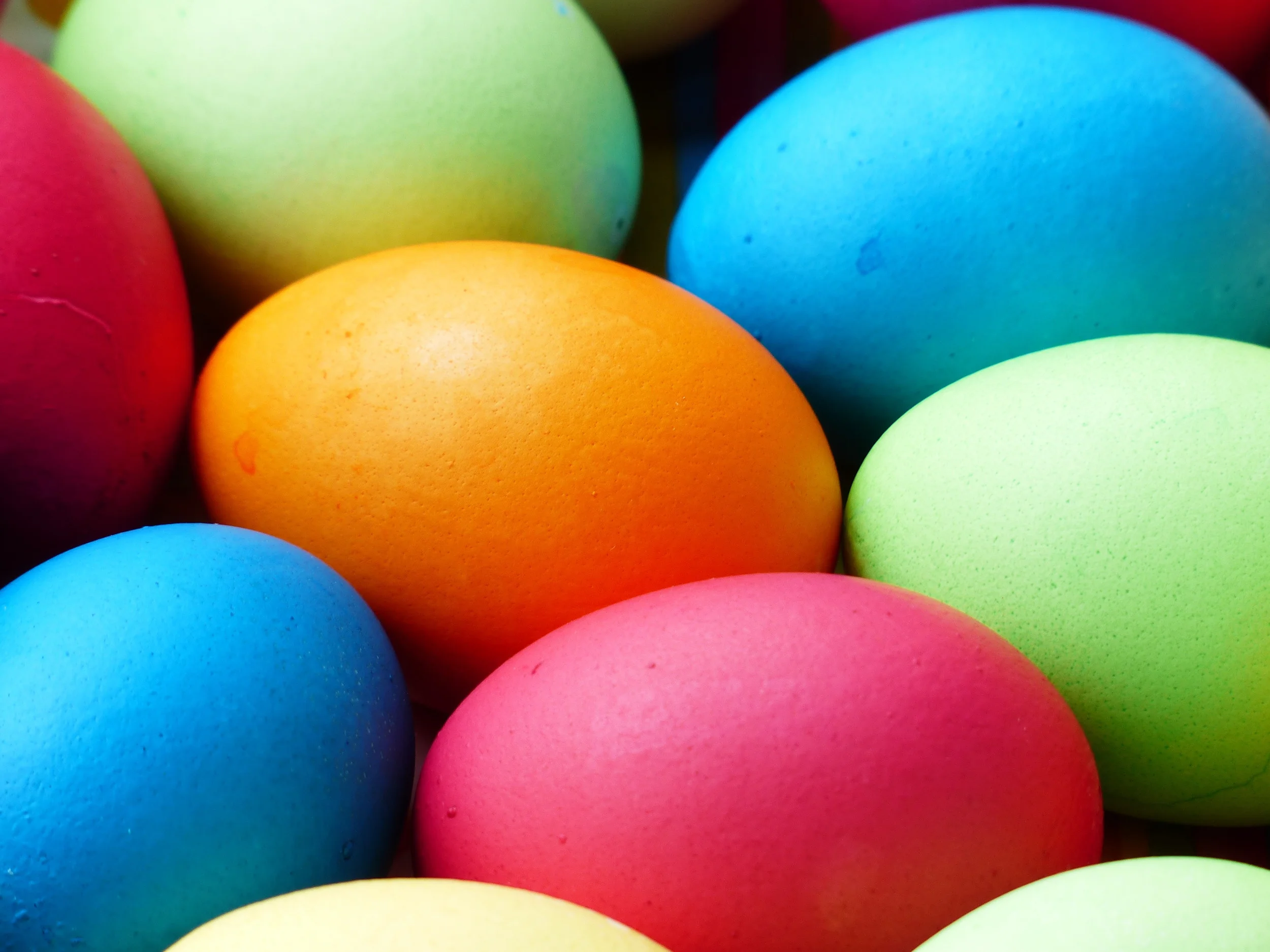EGG HUNT!
