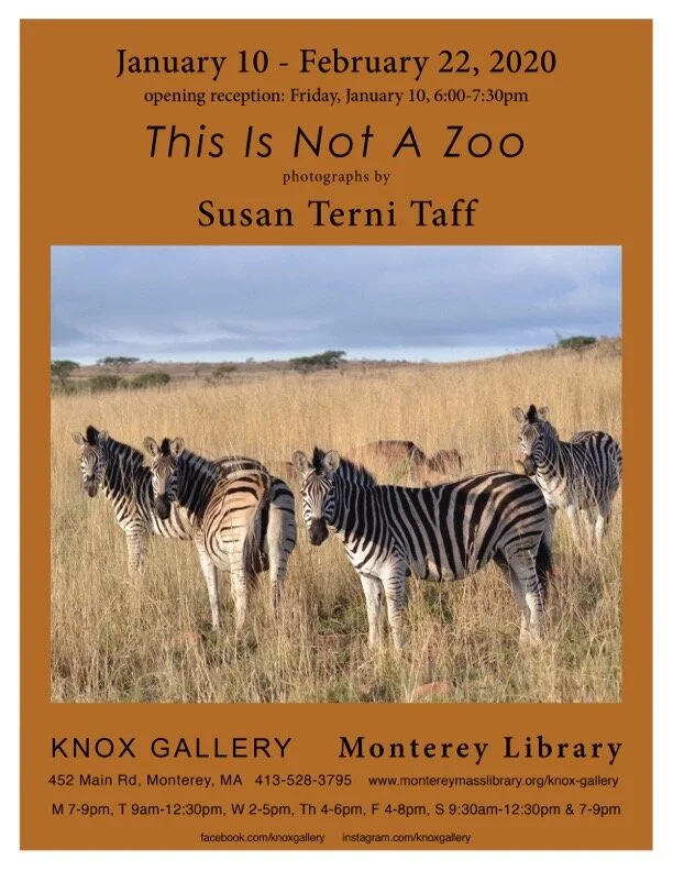This Is Not a Zoo-- photos by Susan Terni Taff