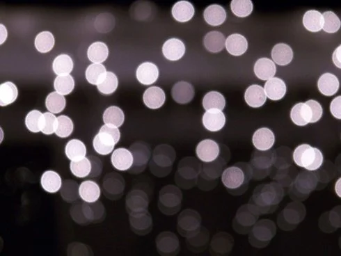 Monterey Lights the holidays