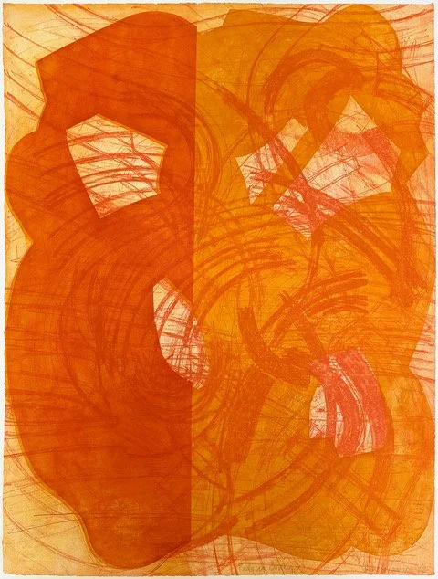 Interleave: prints, paintings and work on paper by Julie Shapiro