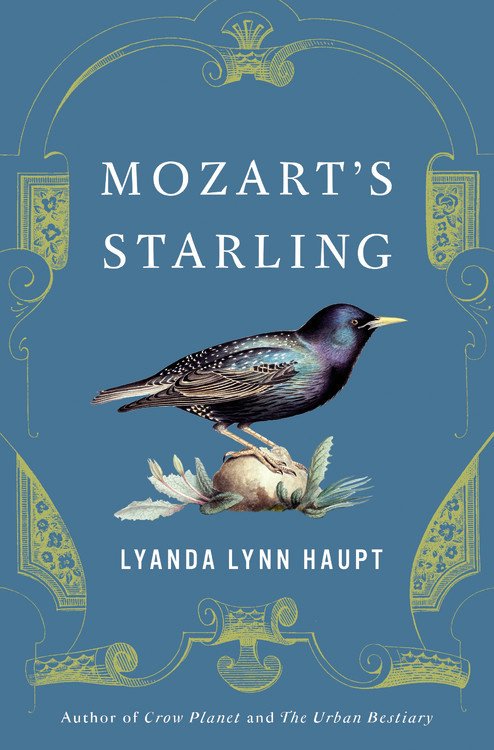 Daytime Book Discussion