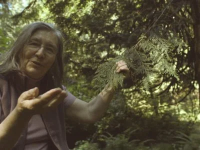 Movie-- Native Plants Working Group presents Call of the Forest: Forgotten Wisdom of Trees