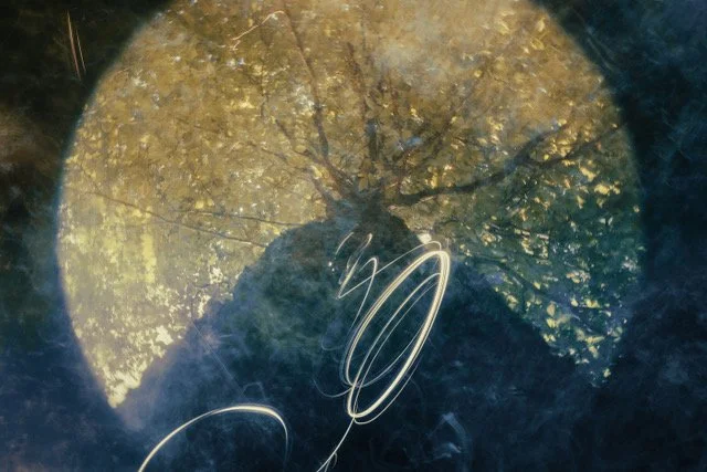 The Crystalline Lens by Rod Lamborn