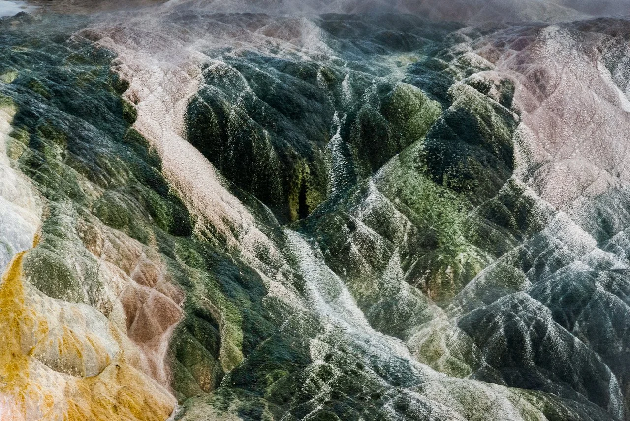 Patterns in Nature photography by Natalie Manzino