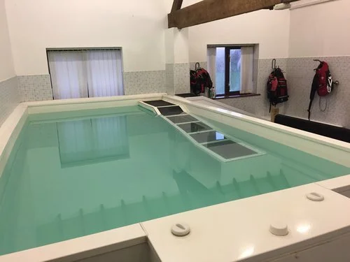 dog hydrotherapy pool