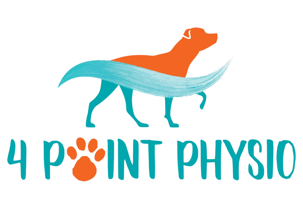 4 Point Physio