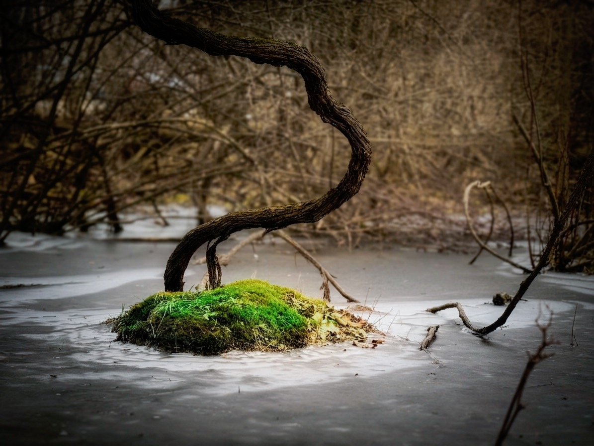 3.19.26 - Semi-Frozen