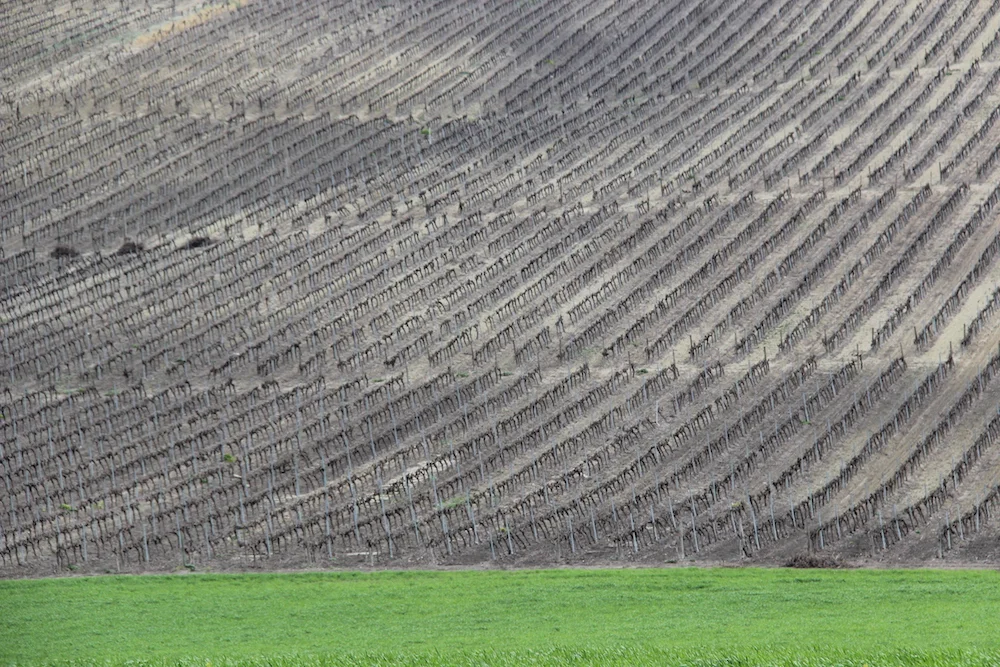 Everything I wrote in February