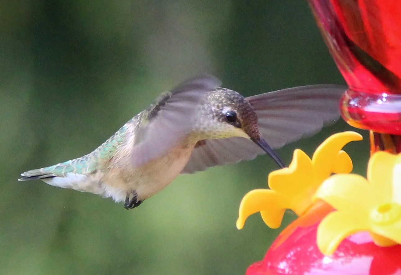 Everything I wrote in July