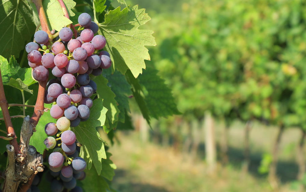 Everything I wrote in August