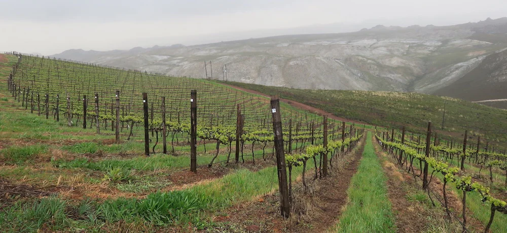 Everything I wrote in September