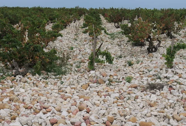 Everything I wrote in October