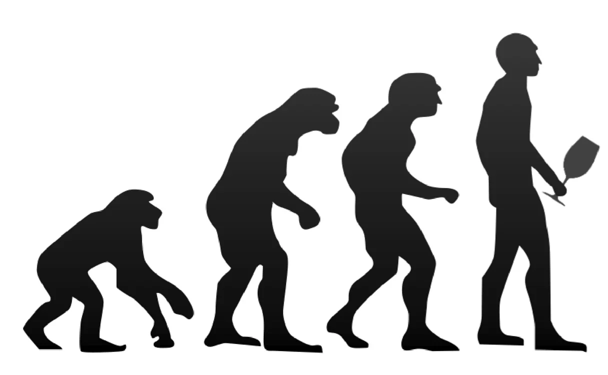 evolution of wine drinker.jpg