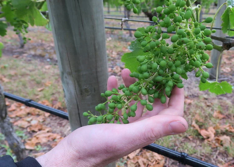 Everything I wrote in December